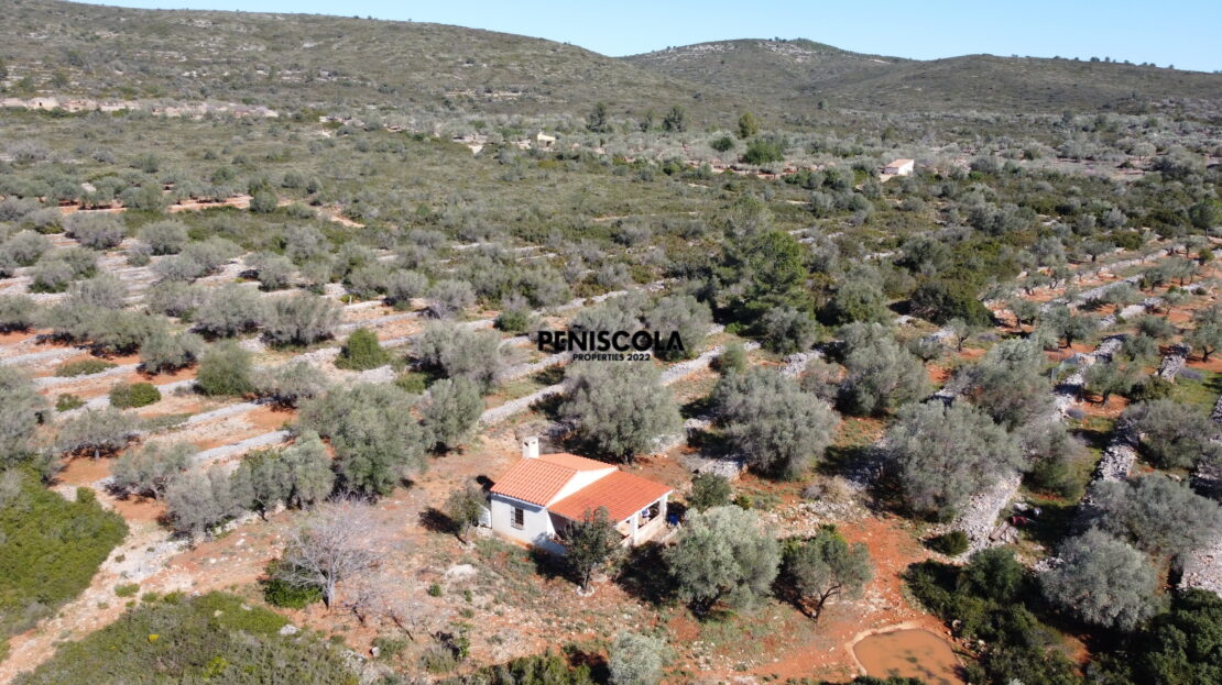video image