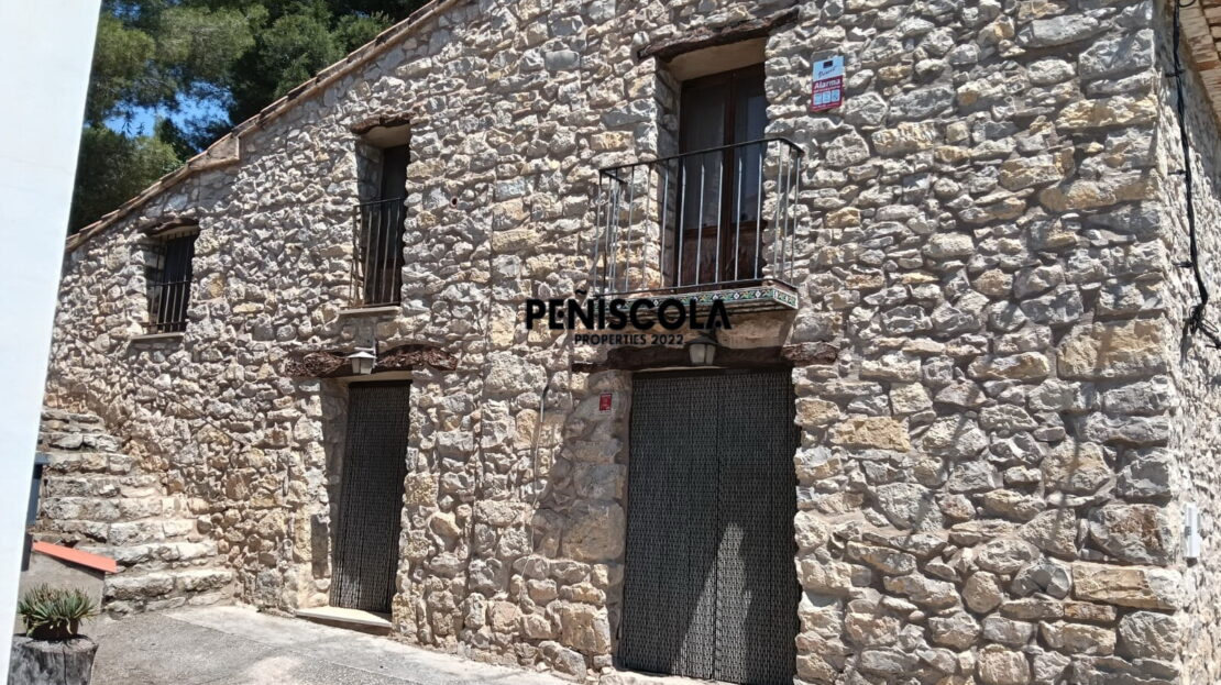 video image