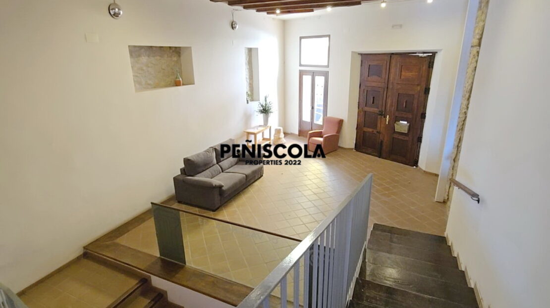 video image
