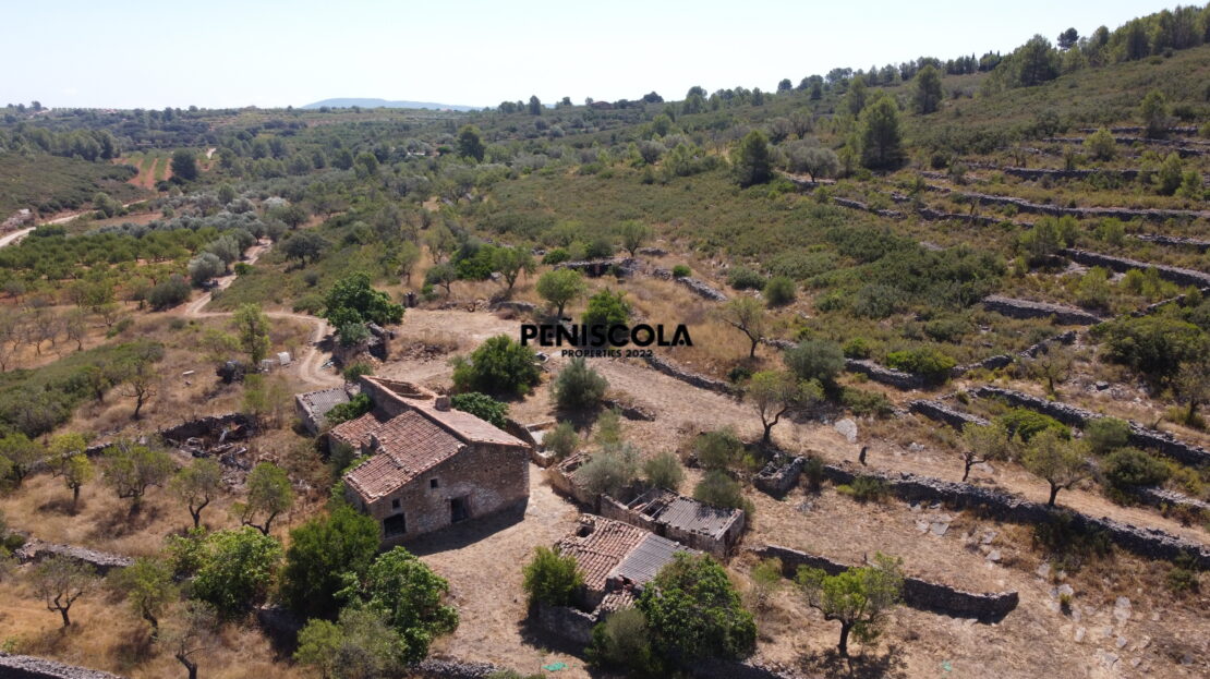 video image