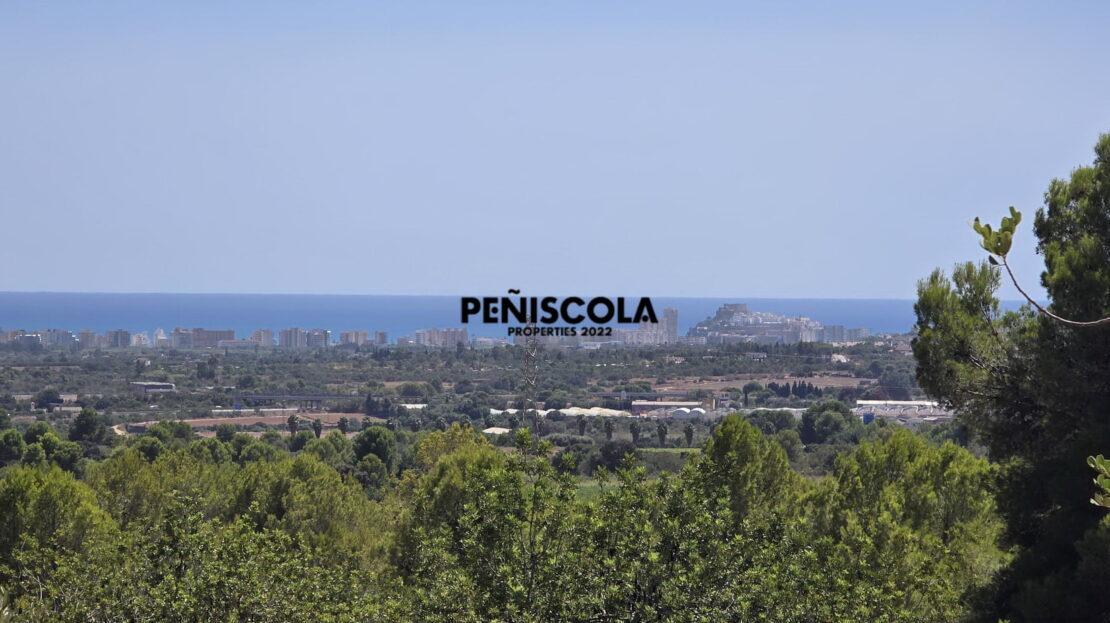 video image