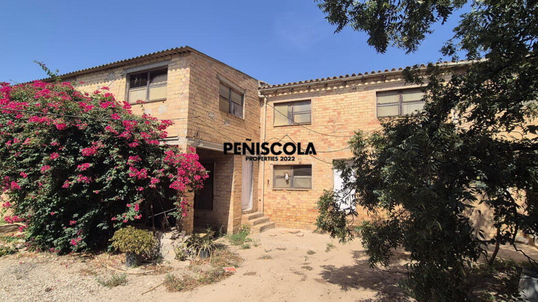 video image